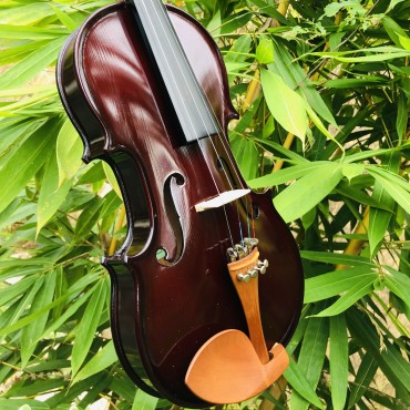 Brandurnburg 4/4 Size German Made Violin with Hard Case Rosin and bow BB 110 - Coffee Brown Brandurnburg 4/4 Size German Made Violin with Hard Case Rosin and bow BB 110 - Coffee Brown